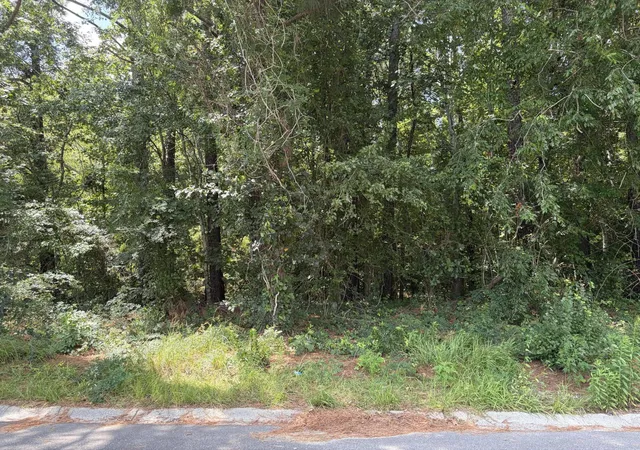 Homes for sale in Moncks Corner, SC | 308 E Poplar Branch Dr, Moncks Corner, SC 29461 | MLS# 26018597