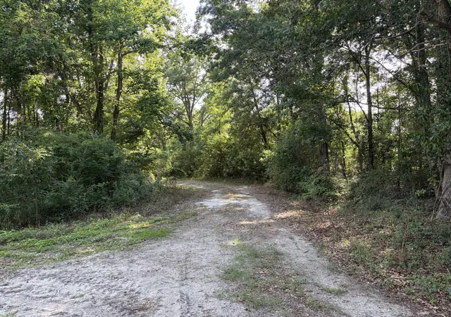 Photo 1 of Land for sale at 0 Reevesville, Reevesville, SC 29471 | MLS# 26017546 | Listing updated on 2026-09-20