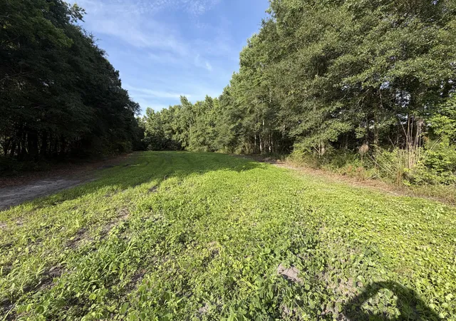 Photo 3 of Land for sale at 0 Reevesville, Reevesville, SC 29471 | MLS# 26017546 | Listing updated on 2026-09-20