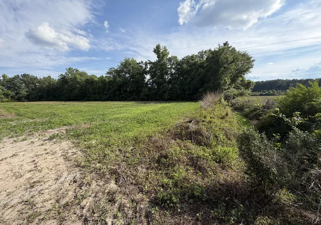 Photo 4 of Land for sale at 0 Reevesville, Reevesville, SC 29471 | MLS# 26017546 | Listing updated on 2026-09-20