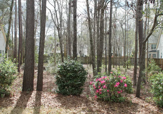 4th image of 228 Comiskey Park Cir, Summerville, SC 29485 | MLS# 26007349