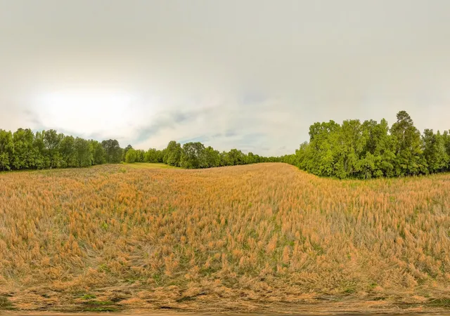 25th image of 3 Old Number Six Hwy, Vance, SC 29163 | MLS# 26020593