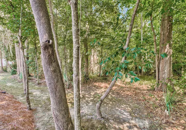 Homes for sale in North Charleston, SC | 5150 Trump St #Unit 401, North Charleston, SC 29420 | MLS# 26019741