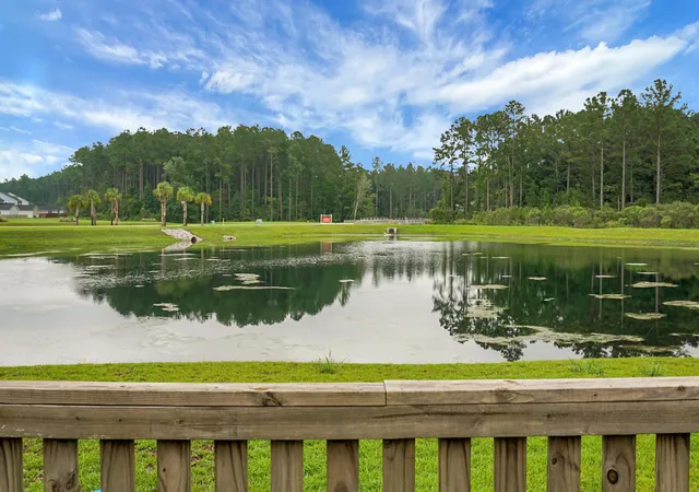 56th image of 199 Country Gate Ln, Summerville, SC 29485 | MLS# 26021541