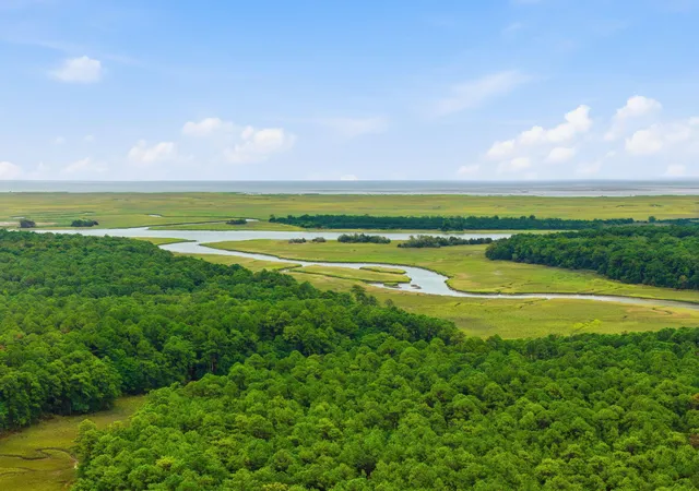 Photo 4 of Land for sale at 5511 Huckleberry Ln, Mc Clellanville, SC 29458 | MLS# 26021370 | Listing updated on 2026-08-21