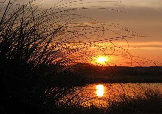 2nd image of 280 Driftwood Ln, Edisto Island, SC 29438 | MLS# 25029306
