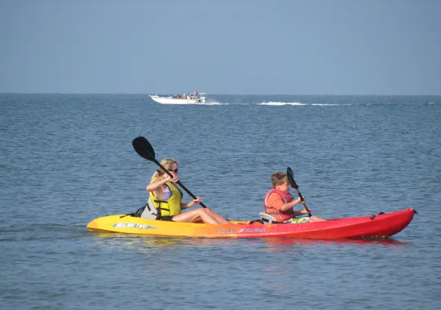 54th image of 280 Driftwood Ln, Edisto Island, SC 29438 | MLS# 25029306