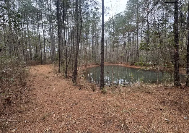 Land for sale at 0 Deerhaven Ct, Huger, SC 29450 | MLS# 26003919