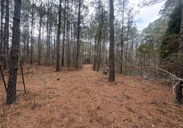 Photo 2 of Land for sale at 0 Deerhaven Ct, Huger, SC 29450 | MLS# 26003919 | Listing updated on 2026-09-24
