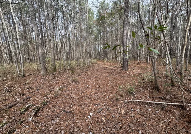 Photo 3 of Land for sale at 0 Deerhaven Ct, Huger, SC 29450 | MLS# 26003919 | Listing updated on 2026-09-24