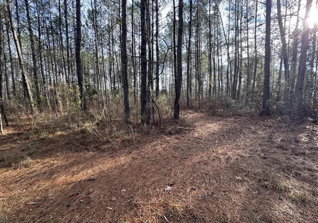 Photo 3 of Land for sale at 0 Deerhaven Ct, Huger, SC 29450 | MLS# 26003919 | Listing updated on 2026-09-24