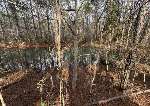 Photo 4 of Land for sale at 0 Deerhaven Ct, Huger, SC 29450 | MLS# 26003919 | Listing updated on 2026-09-24