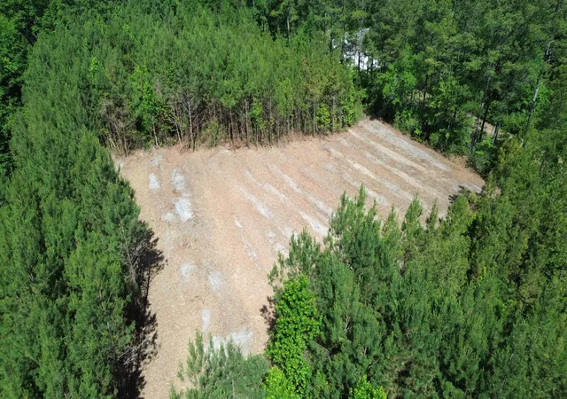 Photo 1 of Land for sale at 1 Highway 311, Cross, SC 29436 | MLS# 26018098 | Listing updated on 2026-09-03