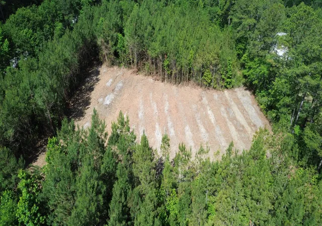 Photo 3 of Land for sale at 1 Highway 311, Cross, SC 29436 | MLS# 26018098 | Listing updated on 2026-09-03