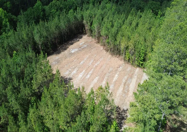Photo 3 of Land for sale at 1 Highway 311, Cross, SC 29436 | MLS# 26018098 | Listing updated on 2026-09-03