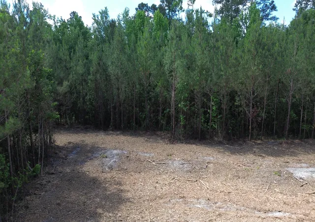 Photo 4 of Land for sale at 1 Highway 311, Cross, SC 29436 | MLS# 26018098 | Listing updated on 2026-09-03