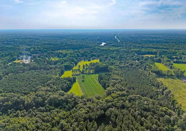 Homes for sale in Jacksonboro, SC | 0 Hope Plantation Ln, Jacksonboro, SC 29452 | MLS# 26019998