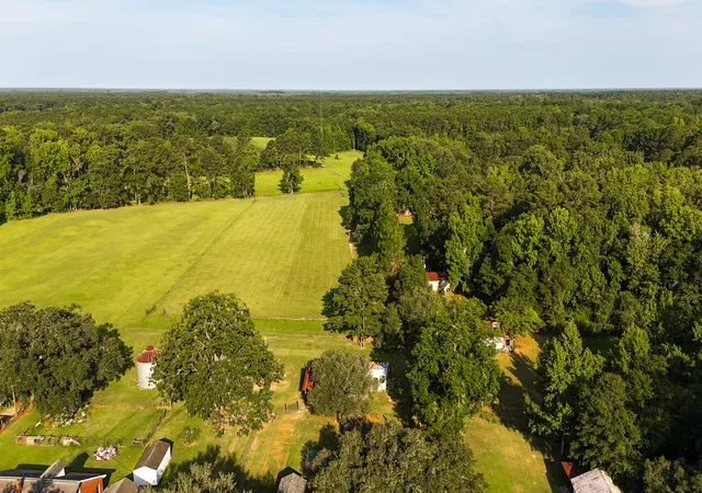Homes for sale in Jacksonboro, SC | 0 Hope Plantation Ln, Jacksonboro, SC 29452 | MLS# 26019998