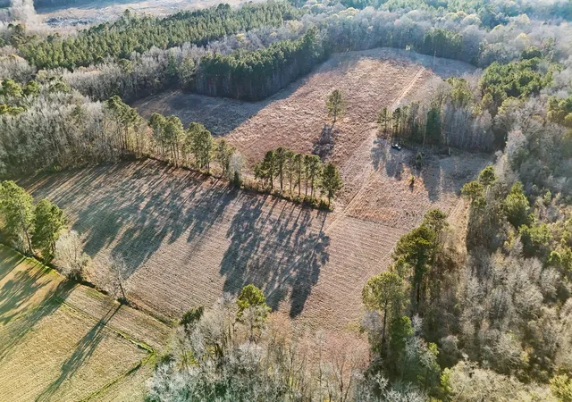 Homes for sale in Jacksonboro, SC | 0 Hope Plantation Ln, Jacksonboro, SC 29452 | MLS# 26019998
