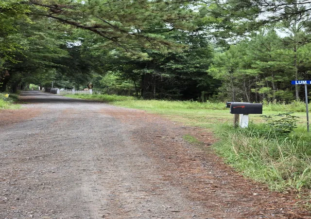 Photo 1 of Land for sale at 00 Rodenberry Rd, Cross, SC 29436 | MLS# 24017843 | Listing updated on 2024-08-23