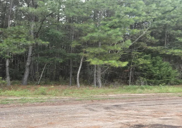 Photo 3 of Land for sale at 00 Rodenberry Rd, Cross, SC 29436 | MLS# 24017843 | Listing updated on 2024-08-23