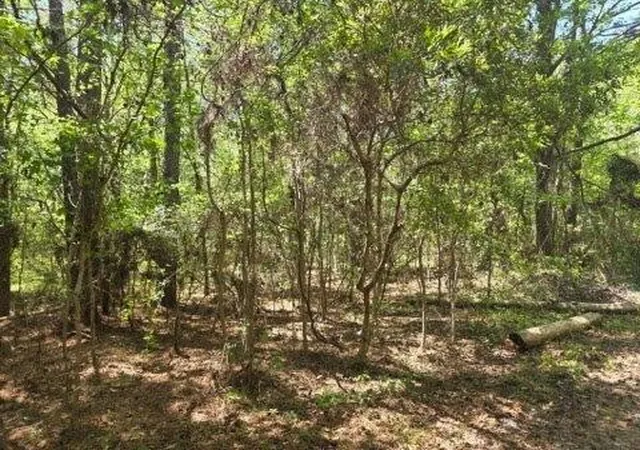 2nd image of 0 Bears Bluff #Lot B, Wadmalaw Island, SC 29487 | MLS# 26010871