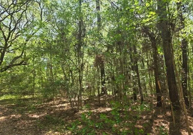 3rd image of 0 Bears Bluff #Lot B, Wadmalaw Island, SC 29487 | MLS# 26010871