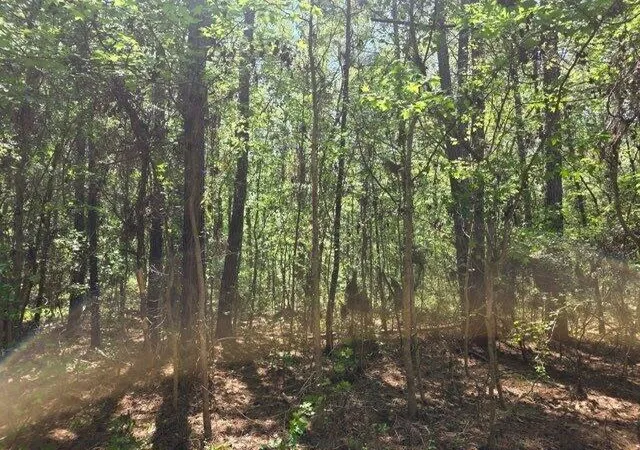 5th image of 0 Bears Bluff #Lot B, Wadmalaw Island, SC 29487 | MLS# 26010871