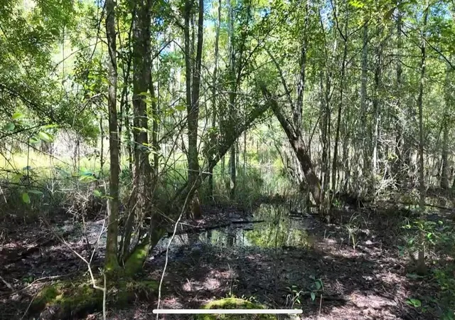 image of 00 Misty Ridge Ln, Walterboro, SC 29488 | MLS# 25025283