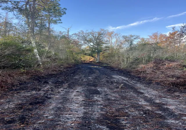 image of 00 Misty Ridge Ln, Walterboro, SC 29488 | MLS# 25025283