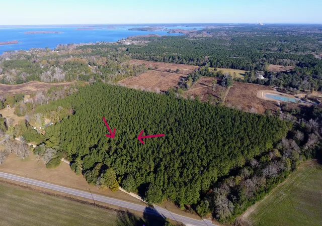 Photo 1 of Land for sale at 0 Rocks Pond Rd #F, Eutawville, SC 29048 | MLS# 26021444 | Listing updated on 2026-08-31