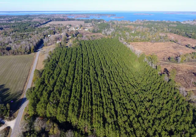 Photo 3 of Land for sale at 0 Rocks Pond Rd #F, Eutawville, SC 29048 | MLS# 26021444 | Listing updated on 2026-08-31