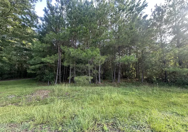 1st image of 108 Blanchard Ln, Jamestown, SC 29453 | MLS# 26022702