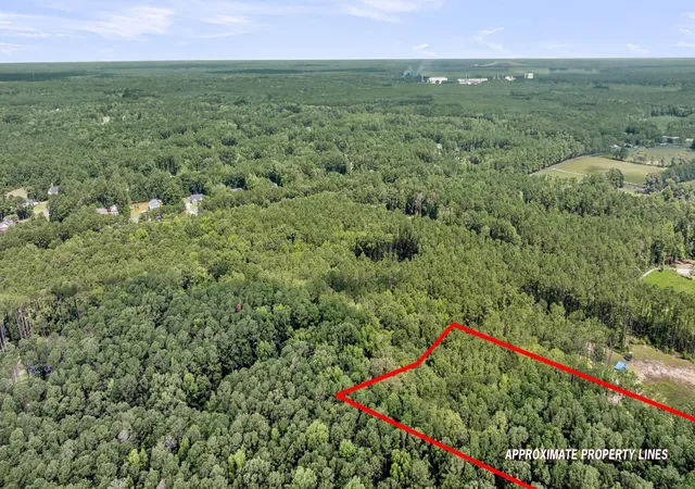 Homes for sale in Ridgeville, SC | 0 Canewood Ln, Ridgeville, SC 29472 | MLS# 26019792
