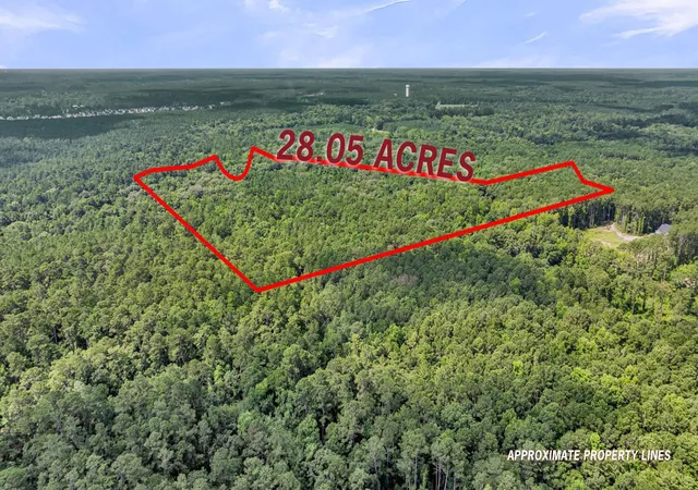 Homes for sale in Ridgeville, SC | 0 Canewood Ln, Ridgeville, SC 29472 | MLS# 26019792