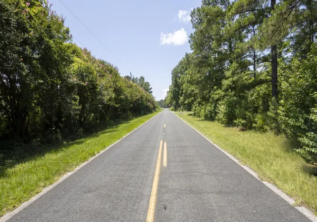 3rd image of 0 Toney Bay Rd, Holly Hill, SC 29059 | MLS# 26018639