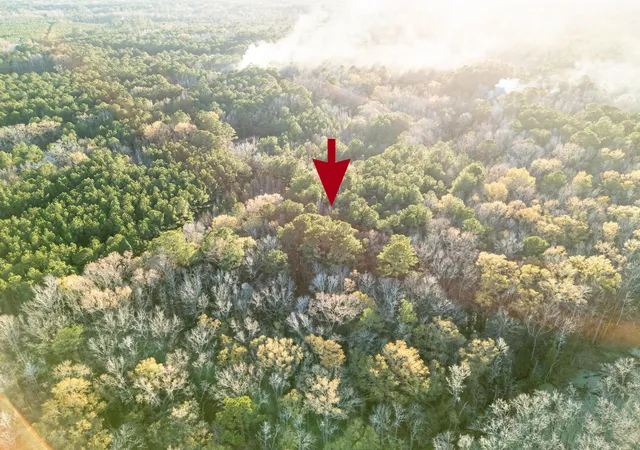 Photo 17 of Land for sale at 0 Allen Ln, Walterboro, SC 29488 | MLS# 25032575 | Listing updated on 2025-12-30