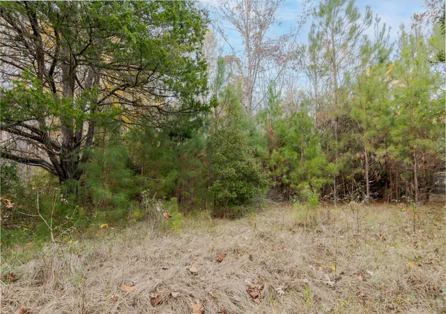 image of 0 Allen Ln, Walterboro, SC 29488 | MLS# 25032575