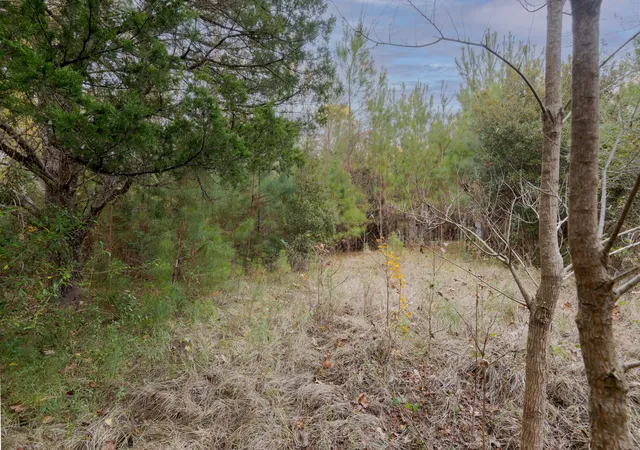 image of 0 Allen Ln, Walterboro, SC 29488 | MLS# 25032575