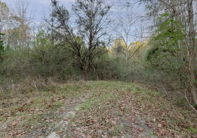 image of 0 Allen Ln, Walterboro, SC 29488 | MLS# 25032575