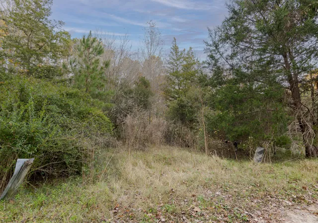 image of 0 Allen Ln, Walterboro, SC 29488 | MLS# 25032575
