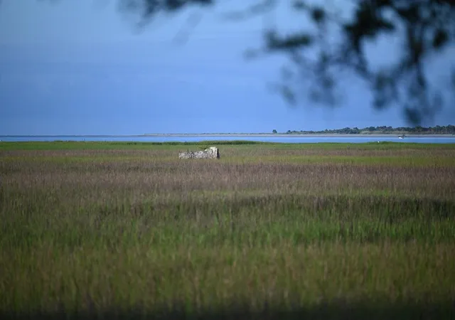 2nd image of 0 Cole Island, Folly Beach, SC 29439 | MLS# 26015259