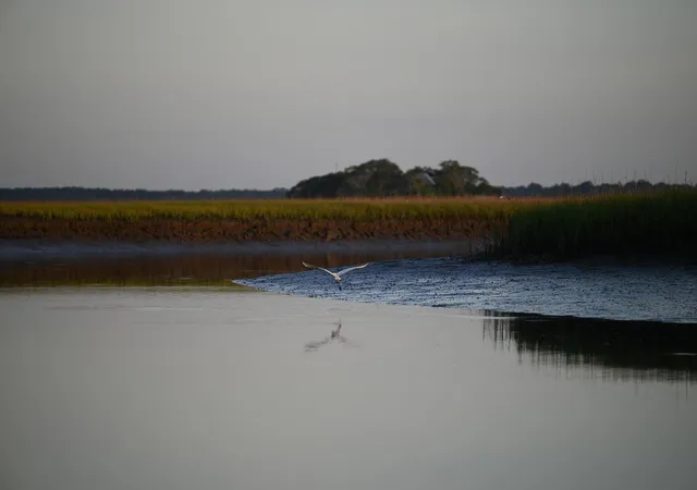 4th image of 0 Cole Island, Folly Beach, SC 29439 | MLS# 26015259