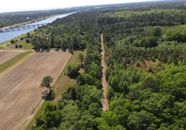 2nd image of 1 Cottage Ln, Saint Stephen, SC 29479 | MLS# 26023233