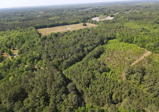 Photo 3 of Land for sale at 1 Cottage Ln, Saint Stephen, SC 29479 | MLS# 26023233 | Listing updated on 2026-08-15