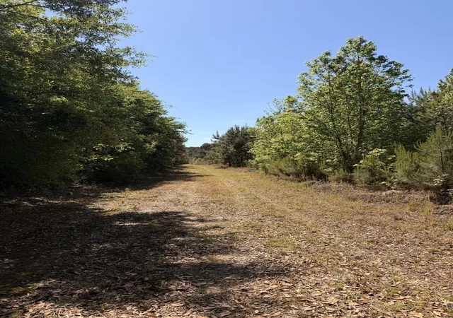 Photo 4 of Land for sale at 1 Cottage Ln, Saint Stephen, SC 29479 | MLS# 26023233 | Listing updated on 2026-08-15