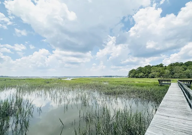2nd image of 5979 Joseph Blake Ln, Wadmalaw Island, SC 29487 | MLS# 26019583