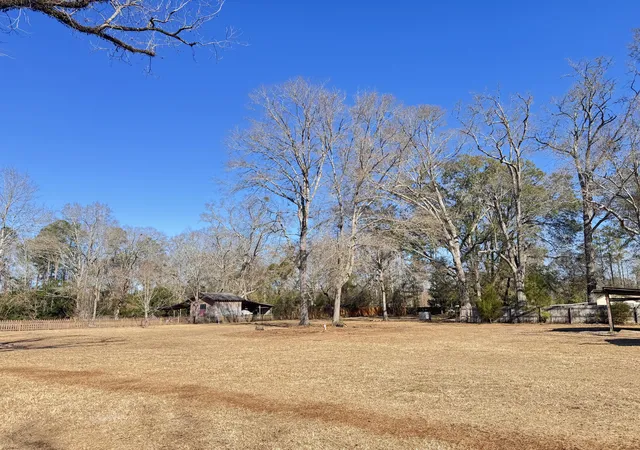 Homes for sale in Lodge, SC | 4233 Mt Nebo Rd, Lodge, SC 29082 | MLS# 26001779