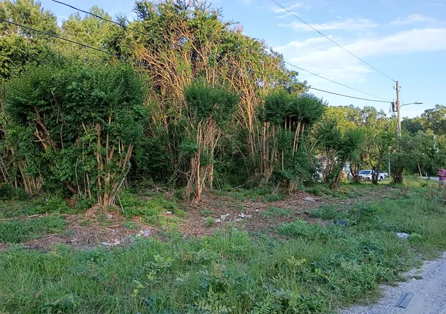 Photo 1 of Land for sale at 111 Brooks Loop, Summerville, SC 29483 | MLS# 26020738 | Listing updated on 2026-09-08
