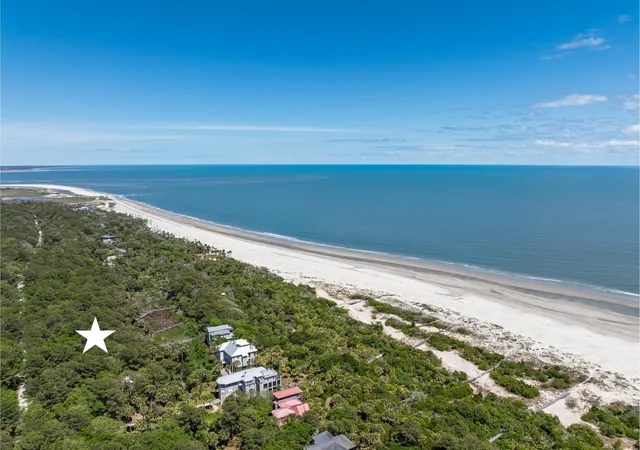 Homes for sale in Dewees Island, SC | 287 Pelican Flight Dr #Lot 14, Dewees Island, SC 29451 | MLS# 26013332